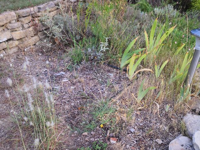User zone photo