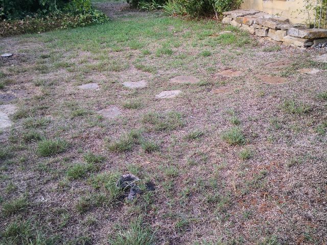 User zone photo