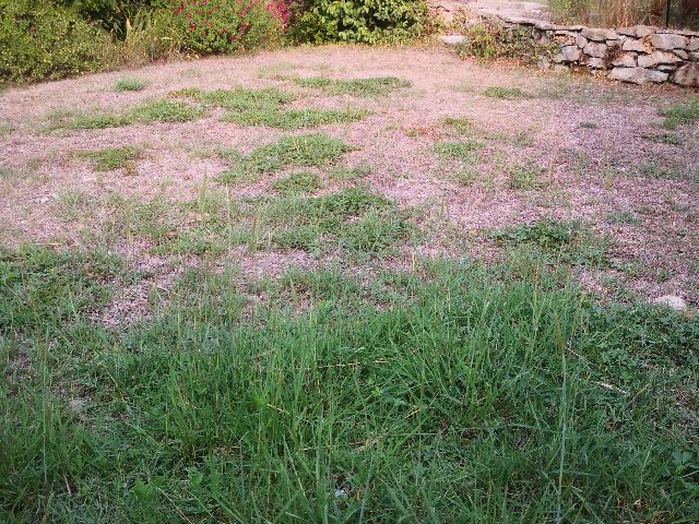 User zone photo