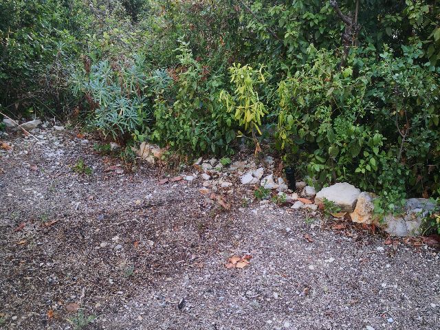 User zone photo