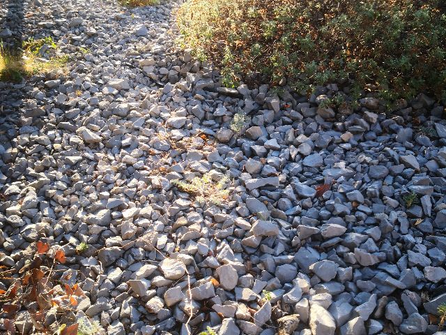 User zone photo
