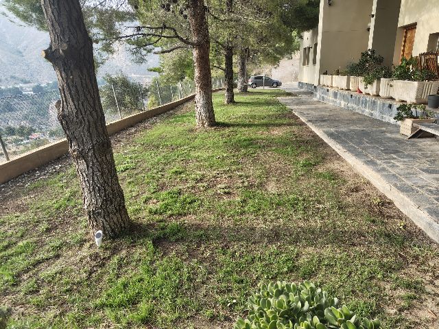 User zone photo